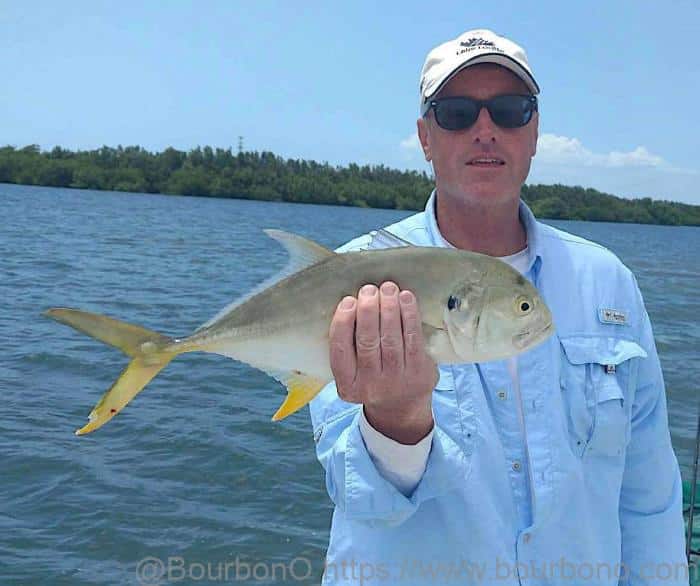 Jack Crevalle is also known as the “common jack”